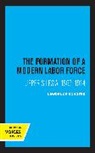 Lawrence Schofer, Schofer Lawrence - Formation of a Modern Labor Force
