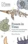 Rhys Charles - Frozen in Time