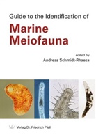 Andrea Schmidt-Rhaesa, Andreas Schmidt-Rhaesa - Guide to the Identification of Marine Meiofauna