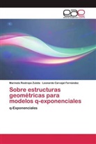 Leon Carvajal Fernández, Leonardo Carvajal Fernández, Marinela Restrepo Zuleta - Sobre estructuras geométricas para modelos q-exponenciales