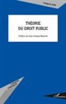Jiangyuan Jiang - Théorie du droit public