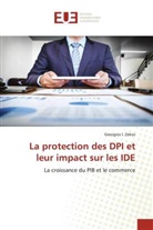Georgios I Zekos, Georgios I. Zekos - La protection des DPI et leur impact sur les IDE