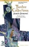 Zoran Zivkovic - Twelve Collections