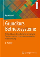 Mandl, Peter Mandl - Grundkurs Betriebssysteme