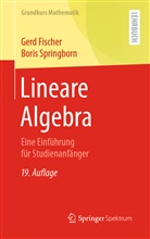 Fischer, Ger Fischer, Gerd Fischer, Boris Springborn - Lineare Algebra