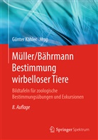 Lothar Jähnichen, Günte Köhler, Günter Köhler - Müller/Bährmann Bestimmung wirbelloser Tiere