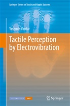 Yasemin Vardar - Tactile Perception by Electrovibration