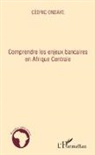 Cédric Ondaye - Comprendre les enjeux bancaires en Afrique Centrale