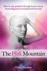 Cindy Needham, Cindy Needham - The Pink Mountain