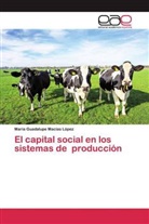 María Guadalupe Macías López - El capital social en los sistemas de producción
