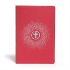 Csb Bibles By Holman, B&amp;H Kids Editorial - CSB One Big Story Bible, Pink Leathertouch