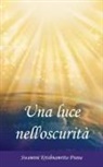Swamini Krishnamrita Prana - Una luce nell'oscurità
