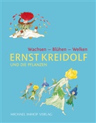 Ernst Kreidolf, Verei Ernst Kreidolf, Verein Ernst Kreidolf, Verein Ernst Kreidolf - Ernst Kreidolf und die Pflanzen