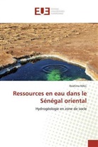 Ibrahima MALL - Ressources en eau dans le Sénégal oriental