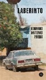 Eduardo Antonio Parra - Laberinto