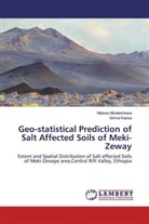 Girma Kassa, Meles Minaleshewa, Melese Minaleshewa - Geo-statistical Prediction of Salt Affected Soils of Meki-Zeway