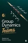David A Askay, David A. Askay, Daniel J J Levi, Daniel J Levi, Daniel Levi, David A a Askay... - Group Dynamics for Teams