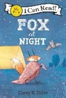 Corey R Tabor, Corey R. Tabor, Tabor Corey R., Corey R Tabor, Corey R. Tabor - Fox at Night
