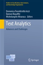 Domenica Fioredistella Iezzi, Damo Mayaffre, Damon Mayaffre, Michelangelo Misuraca - Text Analytics