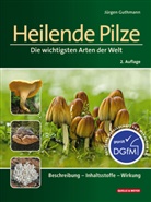 Jürgen Guthmann - Heilende Pilze