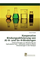 Francis Forster - Kooperative Bindungsaktivierung von Al-H- und Sn-H-Bindungen