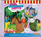 Bibi Blocksberg - Bibi Blocksberg erzählt - Sensationsgeschichten, 1 Audio-CD (Audiolibro)