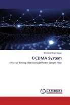Birinderjit Singh Kalyan - OCDMA System