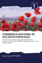 Anne-Laure PEYTAVIN - COHERENCIA NACIONAL DE LOS DATOS ESPACIALES