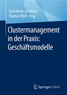 Ger Meier zu Köcker, Gerd Meier zu Köcker, Wolf, Wolf, Thomas Wolf - Clustermanagement in der Praxis: Geschäftsmodelle