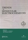 Armando J. L. Amatore Pombeiro, Armando J.l. (Instituto Superior T?cnico Pombeiro, Armando J.l. Amatore Pombeiro, Christian Amatore, Armando J L Pombeiro, Armando J. L. Pombeiro... - Trends in Molecular Electrochemistry