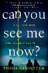 Trisha Sakhlecha - Can You See Me Now?