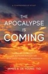 James B. de Young - The Apocalypse Is Coming