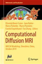 Elisenda Bonet-Carne, Jan Hutter, Jana Hutter, Marco Palombo, Marco Palombo et al, Marco Pizzolato... - Computational Diffusion MRI