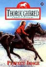 Joanna Campbell - Thoroughbred #44: Perfect Image