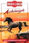 Joanna Campbell, Campbell Joanna - Ashleigh #5 The Forbidden Stallion