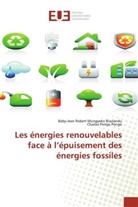 Baby-Jean Rober Mungyeko Bisulandu, Baby-Jean Robert Mungyeko Bisulandu, Pongo Pongo, Charles Pongo Pongo - Les énergies renouvelables face à l'épuisement des énergies fossiles