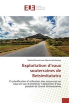 Salohy Mihamintsoa Miandra Andrianasy - Exploitation d'eaux souterraines de Betsimitatatra