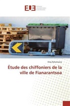 Elmy Raherinaina - Étude des chiffoniers de la ville de Fianarantsoa