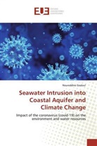 Noureddine Gaaloul - Seawater Intrusion into Coastal Aquifer and Climate Change