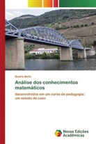 Beatriz Mello - Análise dos conhecimentos matemáticos