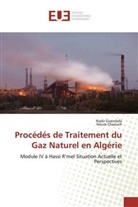 Noura Chaouch, Nadi Guendafa, Nadir Guendafa - Procédés de Traitement du Gaz Naturel en Algérie