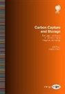 Dirk Uwer, Daniel Zimmer - Carbon Capture and Storage