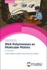 Prof. Robert (University of Wisconsin Landick, Robert (University of Wisconsin Landick, Prof. Robert (University of Wisconsin Landick, Robert Landick, Robert (University of Wisconsin Landick, Terence Strick... - Rna Polymerases As Molecular Motors