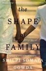 Shilpi Somaya Gowda, Gowda Shilpi Somaya - The Shape of Family