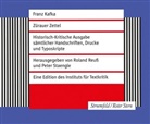 Franz Kafka, Rolan Reuss, Roland Reuß, Staengle, Peter Staengle - Zürauer Zettel, 109 Teile