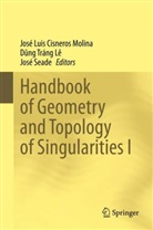 José Luis Cisneros Molina, José Luis Cisneros-Molina, Lê D ng Tráng, Lê Dng Tráng, L Dung Tráng, Lê Dung Tráng... - Handbook of  Geometry and Topology of Singularities I