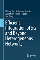Muhamma Ismail, Muhammad Ismail, Justin Kong, Justin et al Kong, Erchin Serpedin, Jiao Wang... - Efficient Integration of 5G and Beyond Heterogeneous Networks