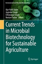 Chhatarpal Singh, Joginde Singh, Joginder Singh, Chhatarpal Singh et al, Ajar Nath Yadav, Neelam Yadav - Current Trends in Microbial Biotechnology for Sustainable Agriculture