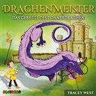 Tracey West, Tobias Diakow - Drachenmeister - Das Gebrüll des Donnerdrachen, 1 Audio-CD (Audio book)