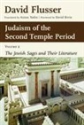 David Flusser - Judaism of the Second Temple Period, Volume 2